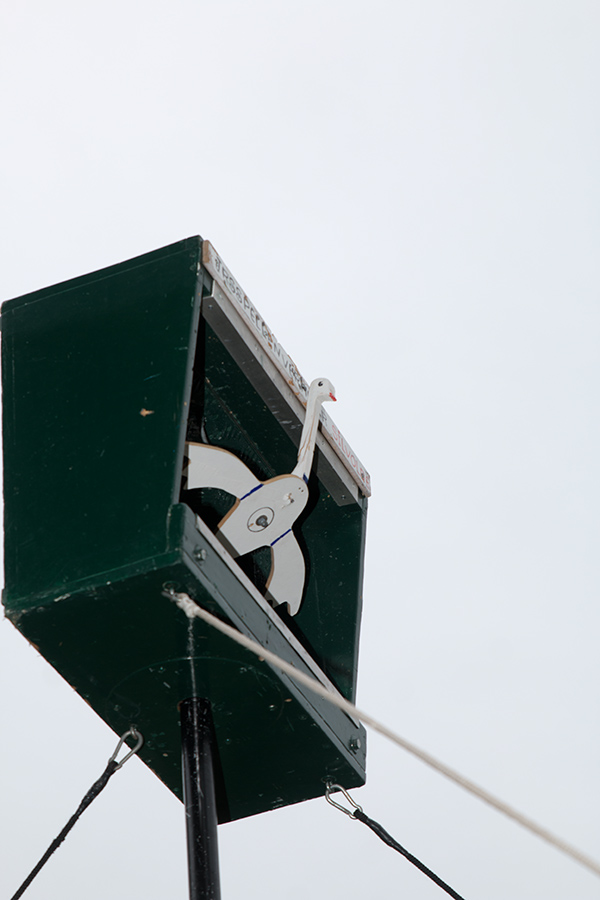 EOS 70D__2022_09_24_00058873